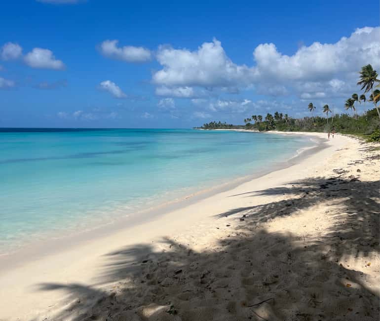 Punta Cana: VIP Private Speedboat Escape to Saona Island - Price and what $760 per group really buys you