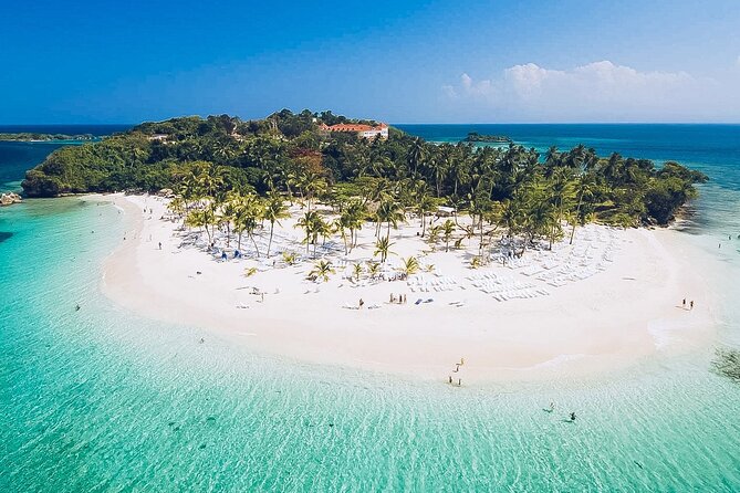 Punta Cana: Whale Watching and Bacardi Island Day Trip - Should you book this Punta Cana to Samaná whale and Bacardi Island trip?