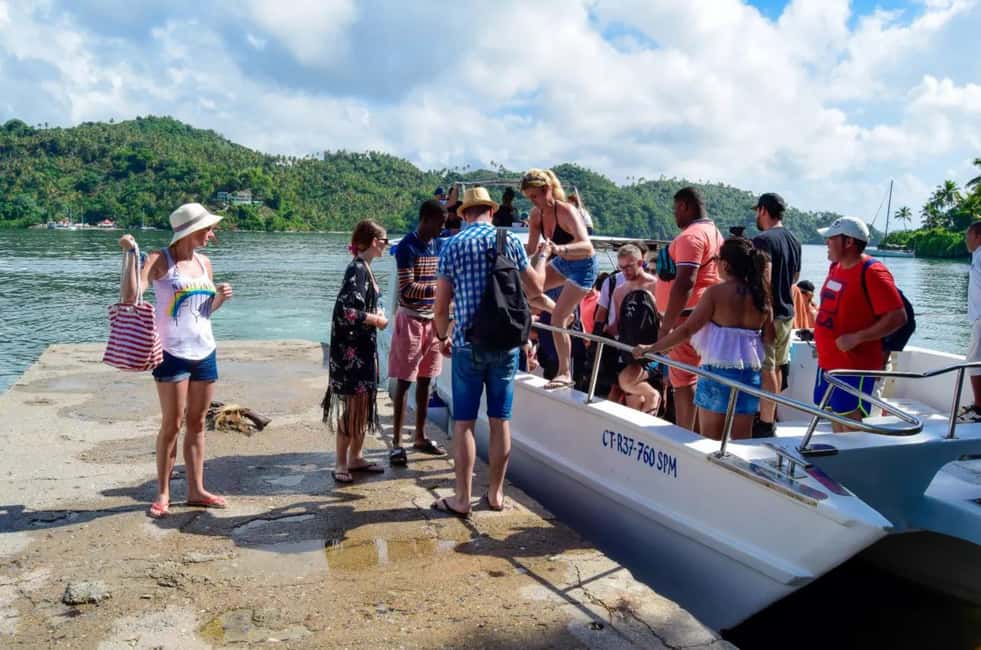 Punta Cana: Whale Watching, Cayo Levantado & Limon Waterfall - Whale watching in Samaná: enjoy the effort, manage the expectations