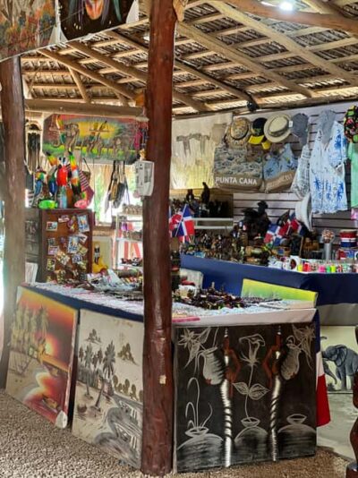 Punta Cana: Wild Off-Road Dune Buggy Adventure - Off-road buggy time: where the adrenaline actually comes from