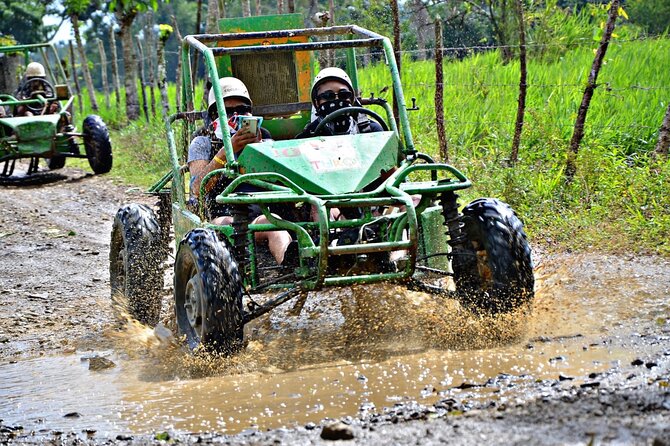 Punta Cana Zip Line, horse riding & Buggy - Key Things That Make This Combo Worth Your Time