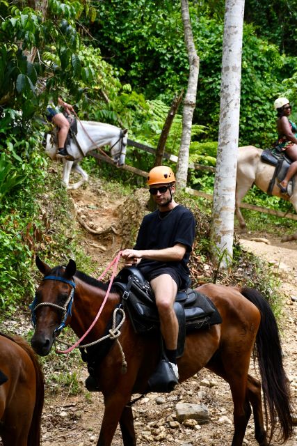 Punta Cana: Zipline, Chairlift, Buggy & Horse Ride Adventure - Lunch at the park: Dominican buffet fuel, not a fancy detour