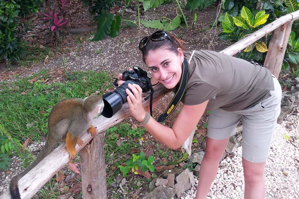 Punta Cana: Ziplines Adventures & Monkeyland Entry - Should you book Punta Cana Zip Lines Adventures & Monkeyland?