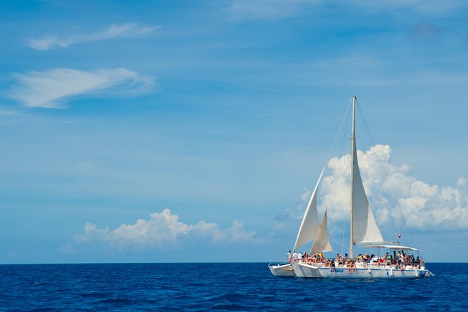 Punta Cana:Exclusive Private Tours for Groups of Up to 7 People - Natural Pool stop: the one extra swim moment that changes the day