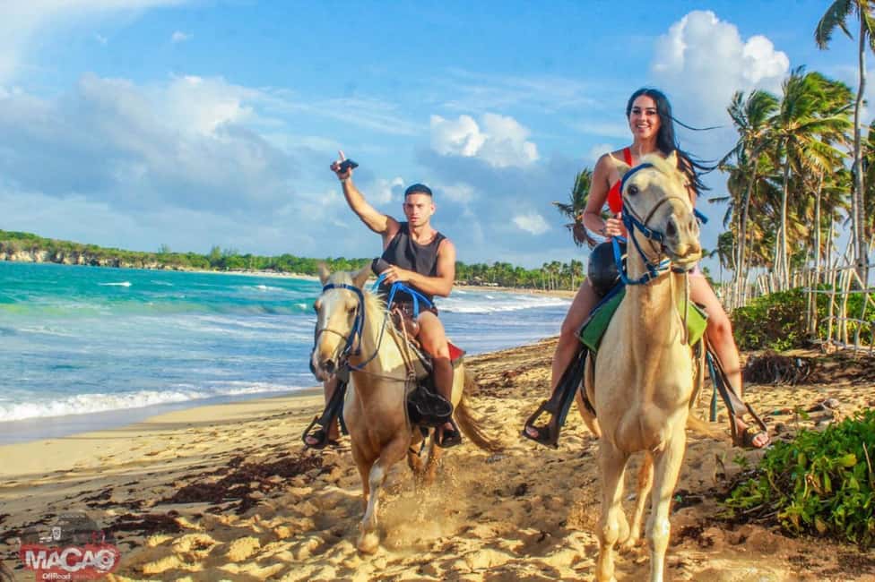 Punta Cana’s Best Sunset Horse Ride - Price and Value: Why $39 Can Make Sense