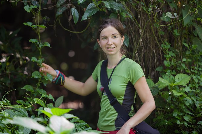 Rainforest Trek to Natural Pool - Taino Bay & Amber Cove ports - Stop at Damajagua Waterfalls: Your Swim-and-Photos Window