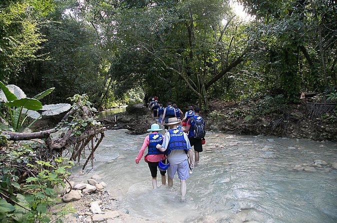 Rainforest Trek to Natural Pool - Taino Bay & Amber Cove ports - What You’ll Actually Do With Your Time (No Mystery-Sandwich Scheduling)