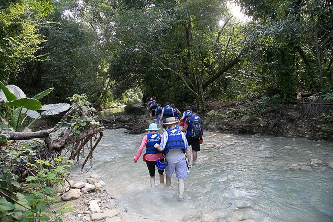 Rainforest Trek to Natural Pool - Taino Bay & Amber Cove ports - Price and Value: Why $79 Can Make Sense for Puerto Plata