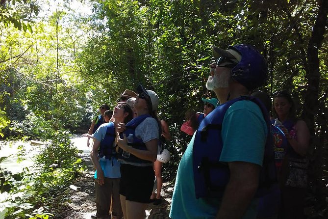 Rainforest Trek to Natural Pool - Taino Bay & Amber Cove ports - Your Guide Makes This Trek Feel Personal (Not Just Guided)
