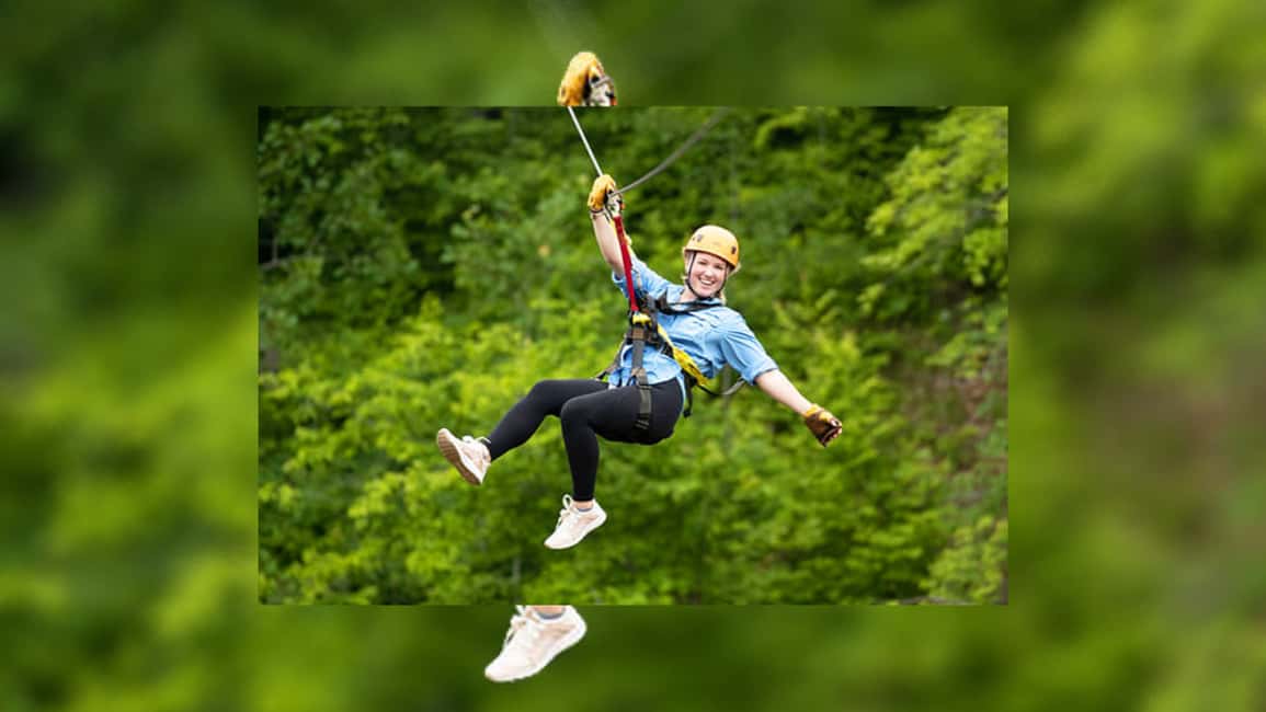Rainforest Ziplining Adventure - Key highlights you’ll feel fast
