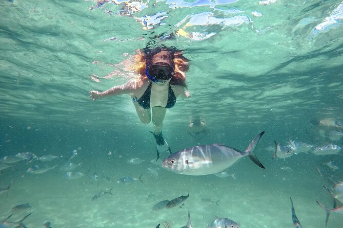 Reef Explorer Half Day Trip - Key things to know before you go