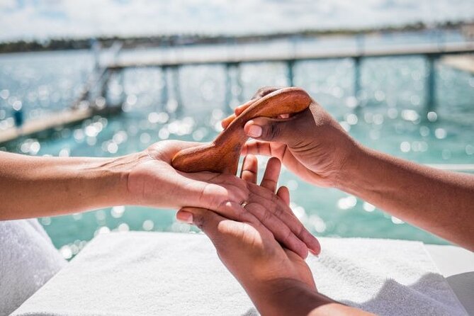 Reef Explorer Half Day Trip - Your $149 value: gear, transport, and why the price makes sense