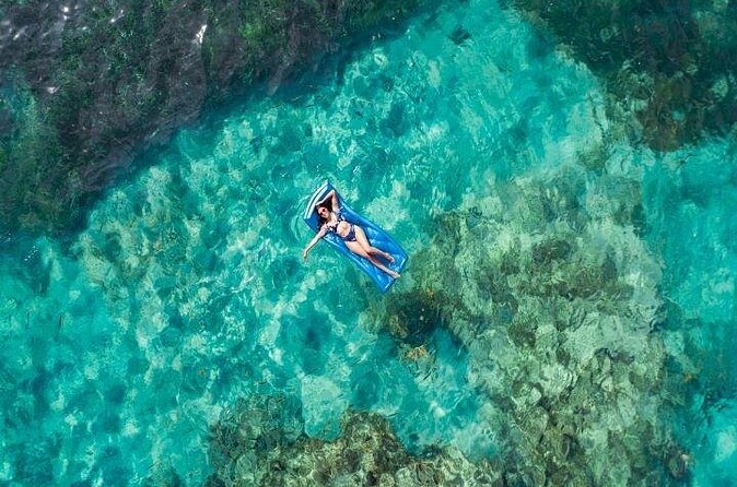 Reef Explorer Half Day Trip - Practical tips for your reef half-day (so you feel good at the end)