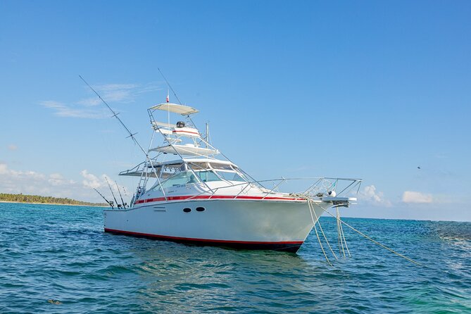 Reel Adventures: A Fin-tastic Fishing Tour - Key Highlights From Reel Adventures Fishing in Punta Cana