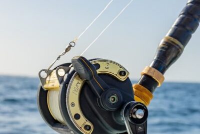 Reel Adventures: A Fin-tastic Fishing Tour - What’s Included (And What’s Not) on This Fishing Charter