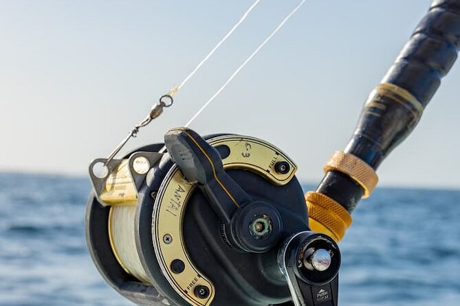 Reel Adventures: A Fin-tastic Fishing Tour - What’s Included (And What’s Not) on This Fishing Charter