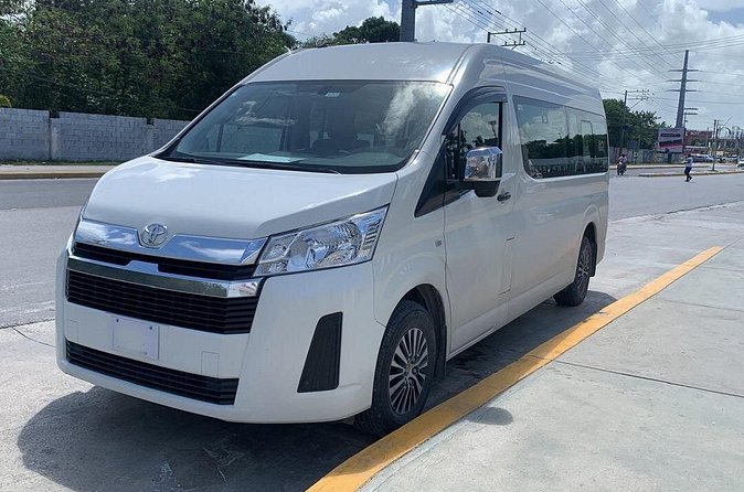 Reliable Private Transfer in Punta Cana - Luggage help without the awkward shuffle