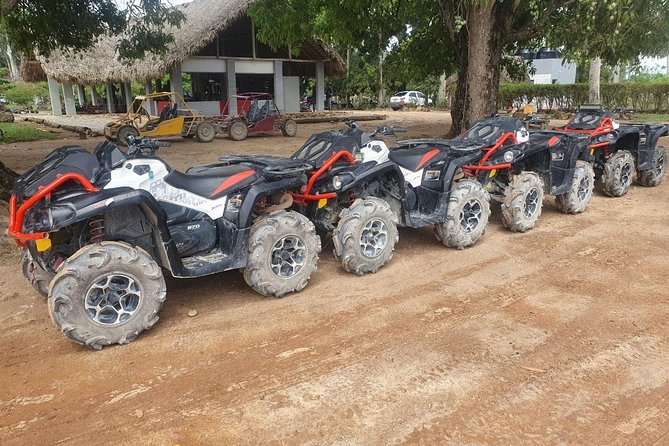 River Cave and Macao Beach Half-Day Quad Bike Adventure - Price and value at $79.99: what you’re paying for