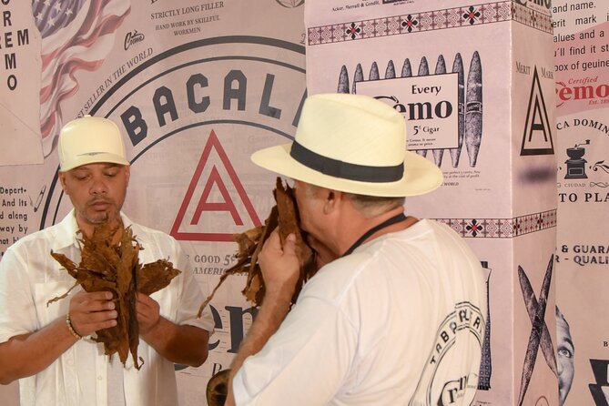 Roll your Own Cigar in Puerto Plata - Meeting at the Correct Spot: Q8X4+WM4 on C. San Felipe 8
