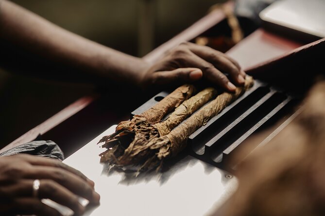Roll your Own Cigar in Puerto Plata - Price and Value: Is $100 for One Hour Worth It?