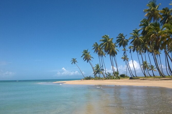 Round Mountain + Beach + Horse + Lunch - Who should book this trip?