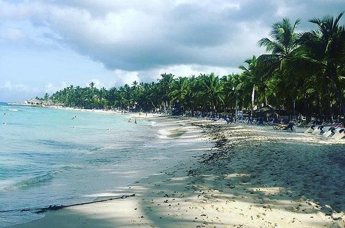 Round Trip Punta Cana Airport Shuttle - Arrival vs. return: how to make round-trip actually work
