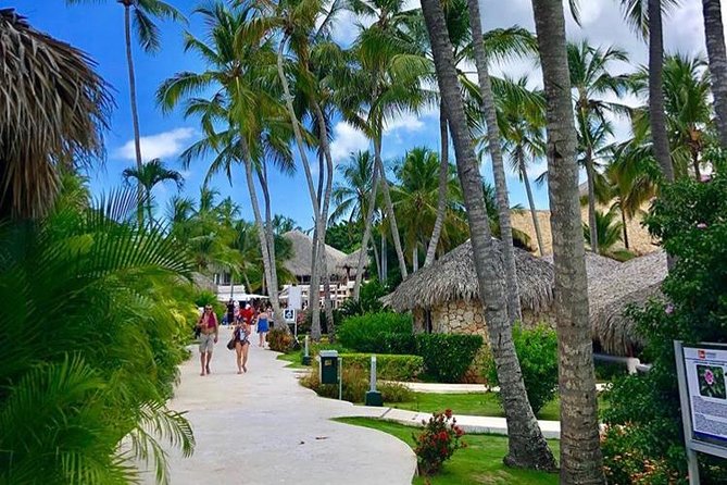 Round Trip Punta Cana Airport Shuttle - Practical tips to make pickup painless