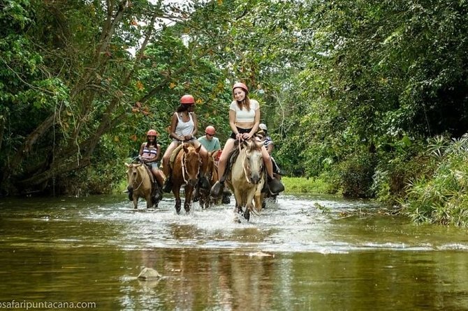 Safari Adventure - Full Day - From Punta Cana - Key Things You’ll Notice On This Punta Cana Safari Day