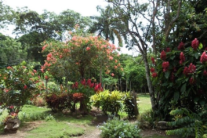 Safari Adventure - Full Day - From Punta Cana - Lunch With Drinks Included, Then Anamuya River And Macao Beach Views