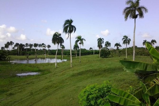 Safari Adventure - Full Day - From Punta Cana - Price and Logistics: Why $81 Feels Fair For What’s Included