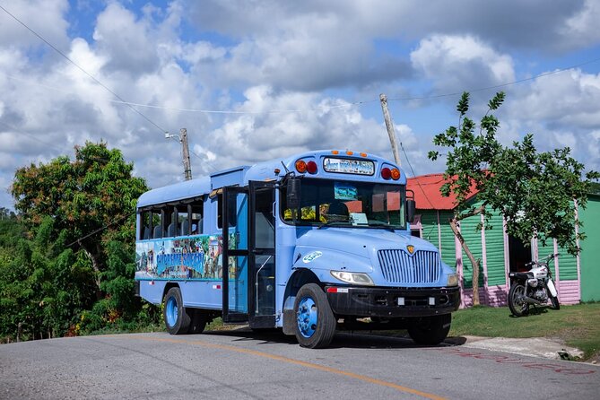 Safari and Higuey Church from Punta Cana - From Punta Cana to the countryside: what this safari format gets right