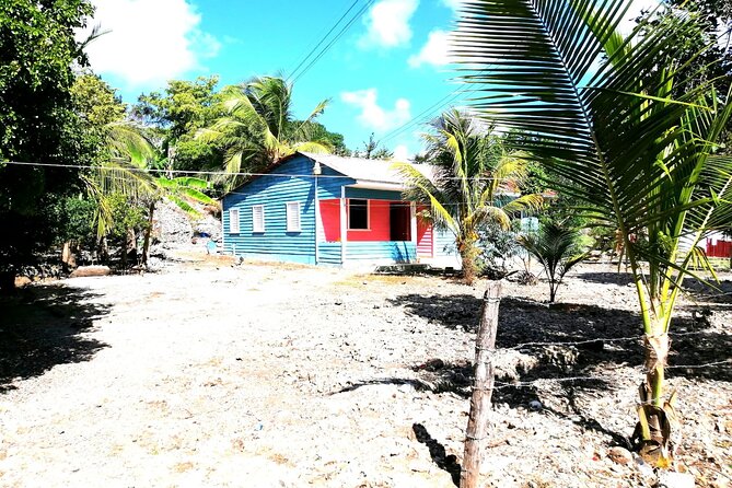 Safari discovery to Boca De Yuma – Nature, Discovery And History Of A Population - Key highlights worth your attention