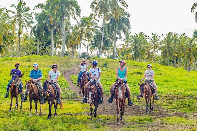 Safari Full Day Outdoor Adventure from Punta Cana - Stop 2: The Basilica in Higüey That Anchors the Day