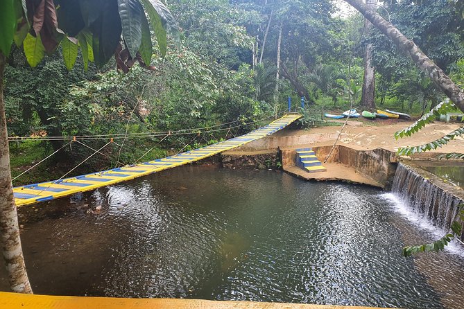 Safari Full Day VIP Experience - Macao Beach: quick swim, quick photos, then back on the road