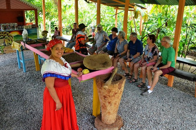 Safari Half Day Experience - Punta Cana’s countryside loop: the real reason this tour works