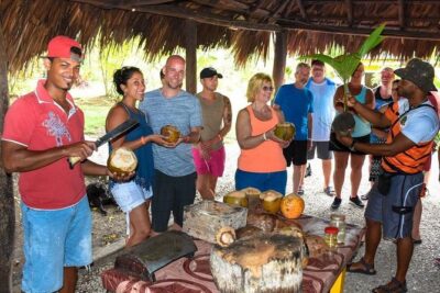 Safari Half Day Experience - Private transport and the all-important pace