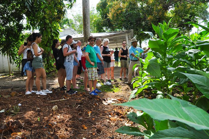 Safari Supreme Full Day Outdoor Adventure Punta Cana - Price and Value: Why $65 Can Make Sense Here