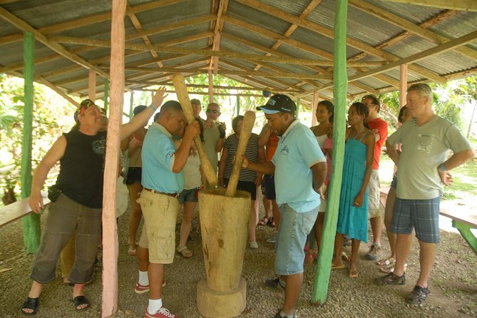 Safari Tour from Punta Cana - Getting Out of Punta Cana: How the Safari Day Actually Flows