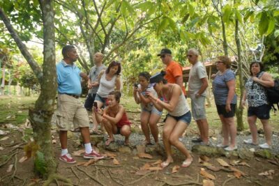 Safari Tour from Punta Cana - Ranch for Horseback Riding: More Than a Photo Opportunity