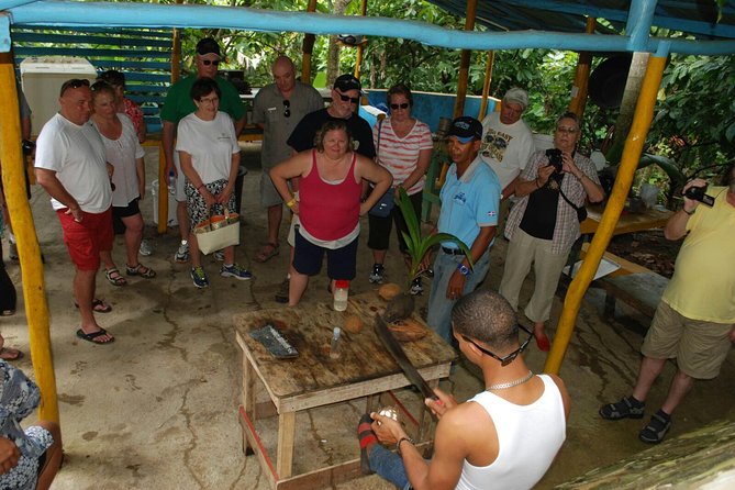 Safari Tour from Punta Cana - Lunch, Alcohol, and Sodas Included: Fueling a Long Day