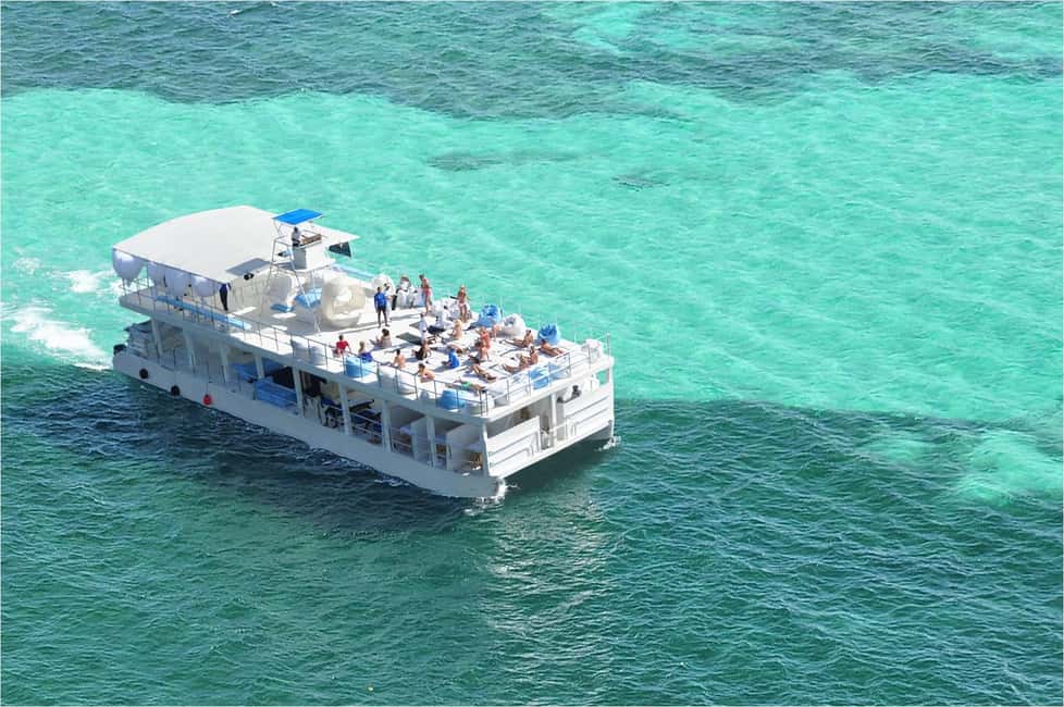 Sailing Splash Tour Speedboat, Snorkel, and Catamaran - Sharks and Stingrays: What You’re Actually Signing Up For