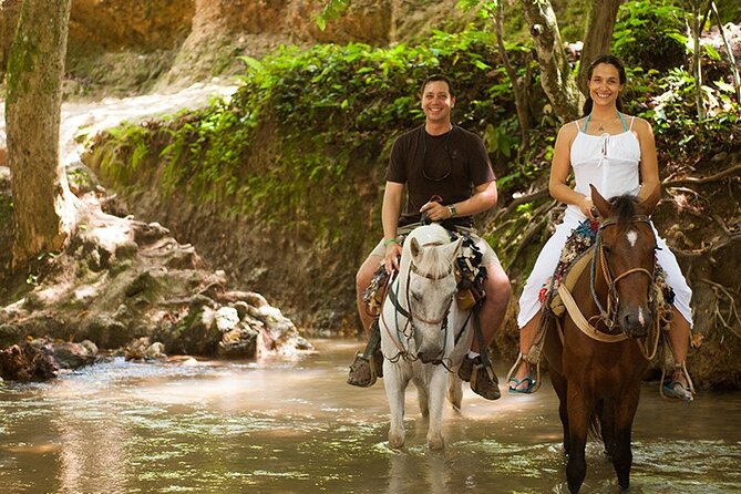 Samana: Bacardi Island and El Limon Waterfall - El Limón Waterfall by Horseback: Adventure Through the Forest