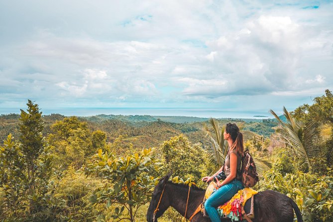Samana: Cayo levantado ( Bacardi Island) & El Limon Waterfalls from Punta Cana - Key Things to Know Before You Go