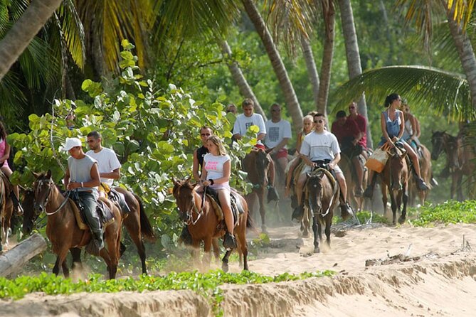 Samana + Cayo Levantado + Horseback Riding from Punta Cana with Lunch - Lunch at the base of El Limón: the best payoff for your effort