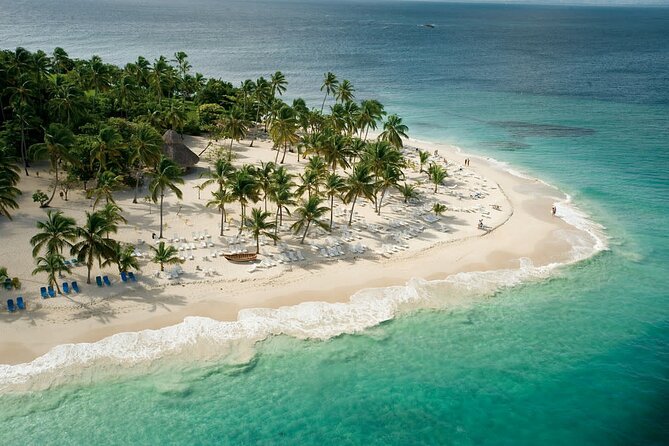 Samaná Experience Whale – The Lemon Waterfall & Bacardi Island - The Elephant in the Room: Time on the Road (and Why It Matters)