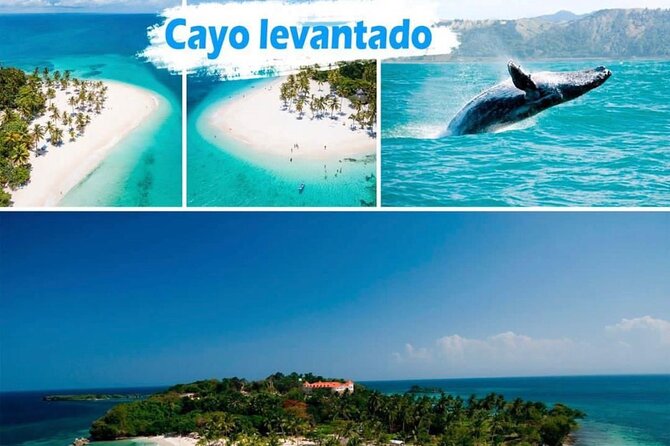 Samana Full Day -baracardi island, horses, lemon waterfall - Key things that make this Samana day trip work