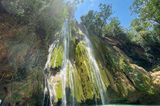 Samana Full Day Waterfall, Safari and Beach - From Bávaro to Samaná: the early-morning ride that sets the tone