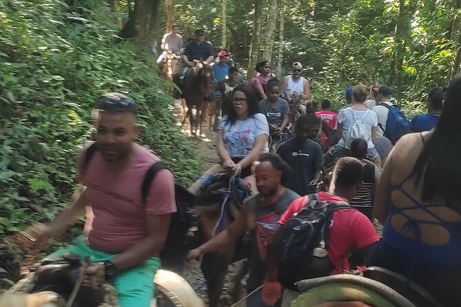 Samana Full Day Waterfall, Safari and Beach - Lunch in Samaná: bay views, Napoleon Bridge, and real breaks