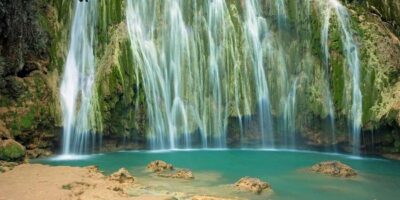 Samana Whale watching and Bacardi Island from Punta Cana - El Limón Waterfall: the horseback descent and the swim you came for