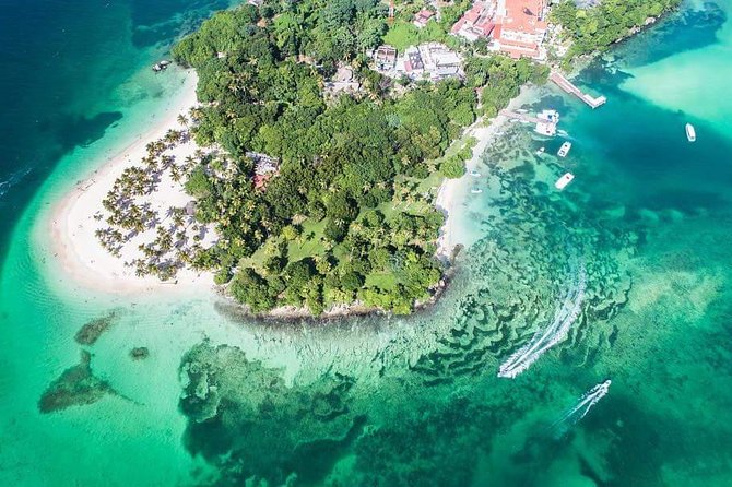 Samana Whale Watching + Cayo Levantado ( Bacardi Island) with Lunch by Locals - Key points before you go
